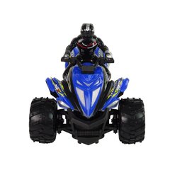 Nuotoliniu būdu valdomas automobilis Quad Rock Crawler Tricycle 1:12 2.4G, mėlynas kaina ir informacija | Žaislai berniukams | pigu.lt