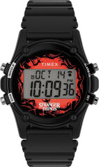 Timex TW2V51000 kaina ir informacija | Vyriški laikrodžiai | pigu.lt