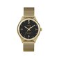 Laikrodis moterims Timex TW2T36400 цена и информация | Moteriški laikrodžiai | pigu.lt