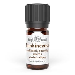 Frankincenso, bosvelijų eterinis aliejus Boswellia serrata, pluoštinė bosvelija, Indija, CO2 ekstrakcija, 5 ml цена и информация | Эфирные, косметические масла, гидролаты | pigu.lt