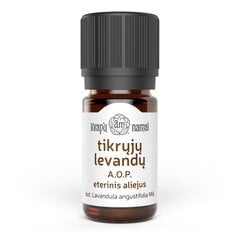 Levandų eterinis aliejus augintų Maillette veislės, Prancūzija, 5 ml цена и информация | Эфирные, косметические масла, гидролаты | pigu.lt