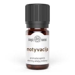 Motyvacija aromaterapinis eterinių aliejų mišinys, 5 ml цена и информация | Эфирные, косметические масла, гидролаты | pigu.lt