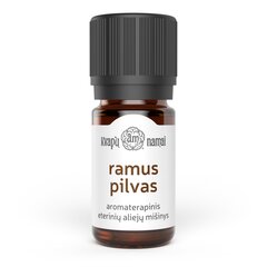 Ramus pilvas aromaterapinis eterinių aliejų mišinys, 5 ml цена и информация | Эфирные, косметические масла, гидролаты | pigu.lt