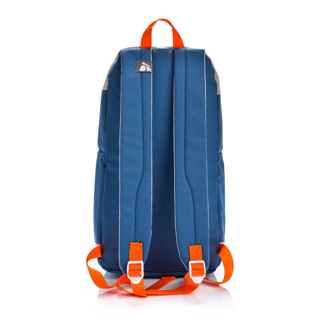 Šaldymo krepšys Meteor Arctic 10l, mėlyna цена и информация | Šaltkrepšiai, šaltdėžės ir šaldymo elementai | pigu.lt