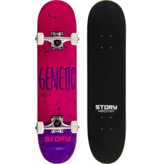 Riedlentė Skateboard Story, 73cm, rožinė kaina ir informacija | Riedlentės | pigu.lt