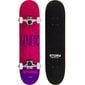 Riedlentė Skateboard Story, 73cm, rožinė kaina ir informacija | Riedlentės | pigu.lt