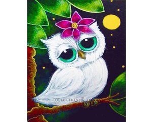 Алмазная мозаика 17x21 cm.  "White owl" цена и информация | Алмазная мозаика | pigu.lt