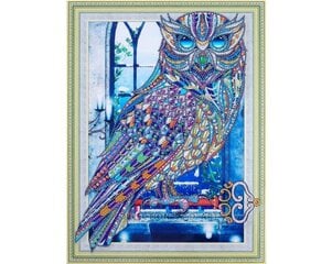 Алмазная мозаика 30x40 cm.  "Crystal owl" цена и информация | Алмазная мозаика | pigu.lt