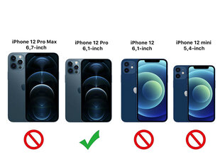 Matte Glass Case with gold metal camera protection skirtas Apple iPhone 12 Pro kaina ir informacija | Telefono dėklai | pigu.lt
