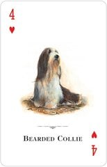Dogs Of The World žaidimų kortos kaina ir informacija | Ezoterika | pigu.lt
