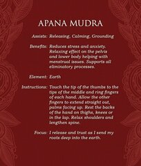 Mudras: For Awakening The Five Elements US Games Systems kaina ir informacija | Ezoterika | pigu.lt