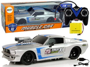 Lean toys R/C спортивная машина 1:16 Silver Blue Stripes Pilot цена и информация | Игрушки для мальчиков | pigu.lt