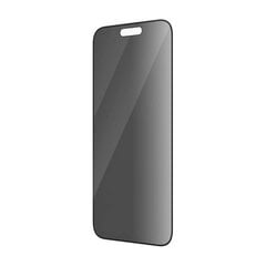 PanzerGlass iPhone 14 Pro Max kaina ir informacija | Apsauginės plėvelės telefonams | pigu.lt