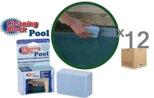 Блок для чистки плитки для бассейнов и спа CLEANING BLOCK POOL, 12 шт. цена и информация | Фильтры для бассейнов | pigu.lt