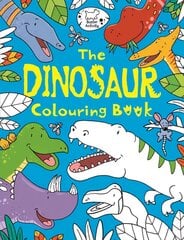 Dinosaur Colouring Book kaina ir informacija | Knygos mažiesiems | pigu.lt