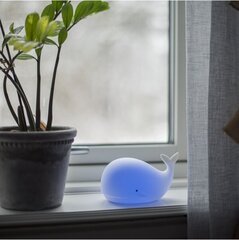 LED Nightlight Functional 357-67 цена и информация | Товары для безопасности детей дома | pigu.lt