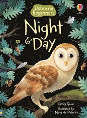 Night and Day цена и информация | Книги для малышей | pigu.lt