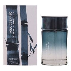 Adolfo Dominguez Agua de Bambu for Men EDT, 120ml цена и информация | Мужские духи | pigu.lt