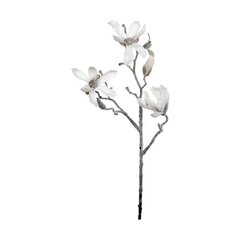 Bigbuy Home dekoratyvinis augalas Mangolia, 43 cm kaina ir informacija | Interjero detalės | pigu.lt