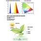 LED juosta augalams auginti kaina ir informacija | LED juostos | pigu.lt