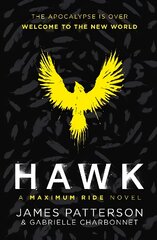 Hawk: A Maximum Ride Novel: (Hawk 1) цена и информация | Книги для подростков и молодежи | pigu.lt