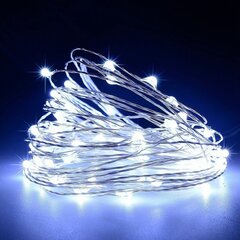 USB LED Garlianda Flexible Violet 50LED, разноцветный цена и информация | Гирлянды | pigu.lt