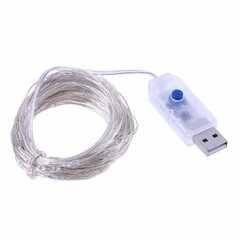 USB LED Girlianda Lanksti Vielutė 100LED , mėlyna kaina ir informacija | Girliandos | pigu.lt