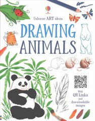 Art Ideas Drawing Animals kaina ir informacija | Knygos paaugliams ir jaunimui | pigu.lt