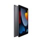 Tabletti Apple iPad (2021) 64 GB 10,2" цена и информация | Planšetiniai kompiuteriai | pigu.lt