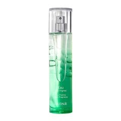 Tualetinis vanduo Caudalie Eau Des Vignes Eau Fraiche EDT moterims, 50 ml kaina ir informacija | Kvepalai moterims | pigu.lt