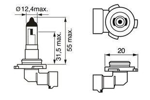 Bosch H10 12V 42W Pure Light kartoninė 1vnt kaina ir informacija | Automobilių lemputės | pigu.lt