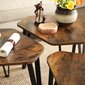 3 kavos staliukai su metalinėmis kojomis VASAGLE LNT14BX kaina ir informacija | Kavos staliukai | pigu.lt
