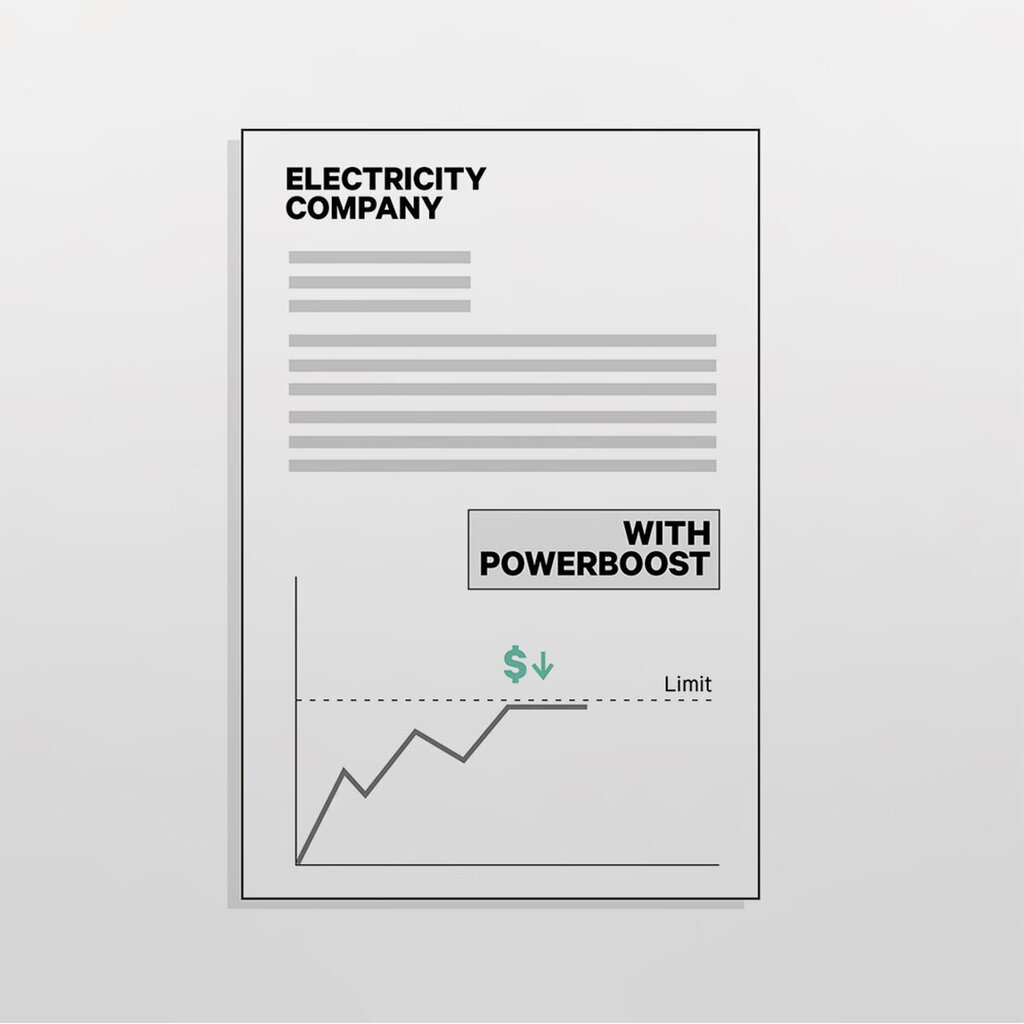 Energijos skaitiklis Wallbox 65A/EM340 kaina ir informacija | Elektros jungikliai, rozetės | pigu.lt