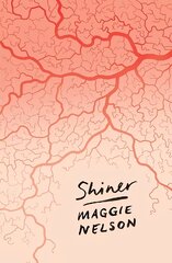 Shiner kaina ir informacija | Poezija | pigu.lt