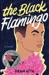 Black Flamingo цена и информация | Книги для подростков  | pigu.lt