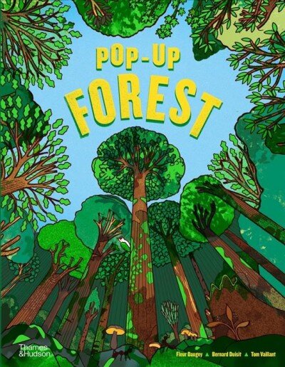 Pop-Up Forest kaina ir informacija | Knygos mažiesiems | pigu.lt