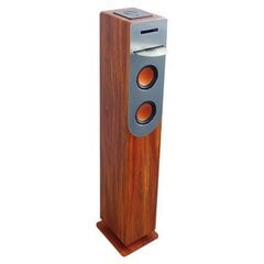 Bluetooth-динамик Inovalley HP34-CD-WOOD 100W цена и информация | Аудиоколонки | pigu.lt