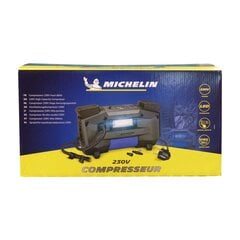 Воздушный компрессор Michelin IMP009538 7 bar цена и информация | Автопринадлежности | pigu.lt