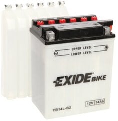 12V 14Ah YB14L-B2 134x89x166-+ Exide цена и информация | Мото аккумуляторы | pigu.lt