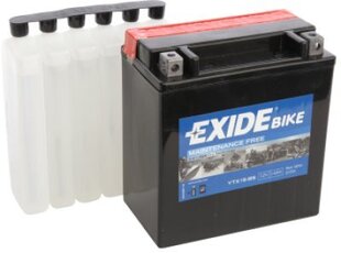 Akumuliatorius Exide 12V 14Ah YTX16-BS AGM 150x87x161+- цена и информация | Мото аккумуляторы | pigu.lt