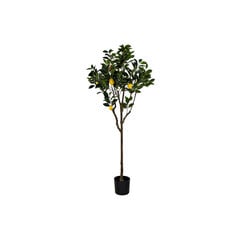 Искусственное дерево DKD Home Decor цена и информация | Искусственные цветы | pigu.lt