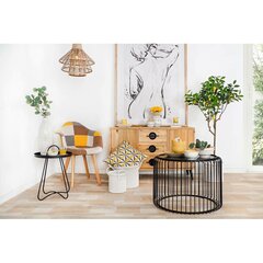 Искусственное дерево DKD Home Decor цена и информация | Искусственные цветы | pigu.lt