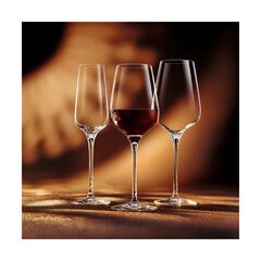 Бокал для шампанского Chef & Sommelier, 6 штук, прозрачное стекло (210 мл) цена и информация | Стаканы, фужеры, кувшины | pigu.lt