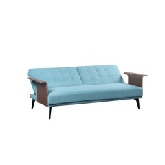 Sofa-lova DKD Home Decor, žalia/ruda/juoda kaina ir informacija | Sofos | pigu.lt