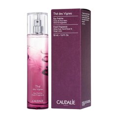 Unisex gaivus vanduo Caudalie Thé Des Vignes Eau Fraiche 50 ml цена и информация | Женские духи | pigu.lt