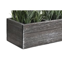 Декоративное растение DKD Home Decor, 32 x 14 x 19,5 см, лиловое/зеленое, 2 шт. цена и информация | Искусственные цветы | pigu.lt