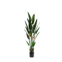 Декоративное растение Smile Серебристый банка Металл Пластик (26 x 26 x 26 cm) цена и информация | Искусственные цветы | pigu.lt