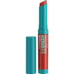 Spalvotas lūpų balzamas Maybelline Green Edition 10-sandalwood 1,7 g kaina ir informacija | Lūpų dažai, blizgiai, balzamai, vazelinai | pigu.lt