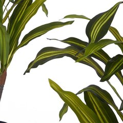 Декоративное растение Стрелиция королевская Зеленый Пластик (130 x 160 x 130 cm) цена и информация | Искусственные цветы | pigu.lt