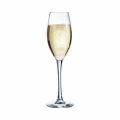 Chef&Sommelier šampano taurė, 6 vnt. kaina ir informacija | Taurės, puodeliai, ąsočiai | pigu.lt